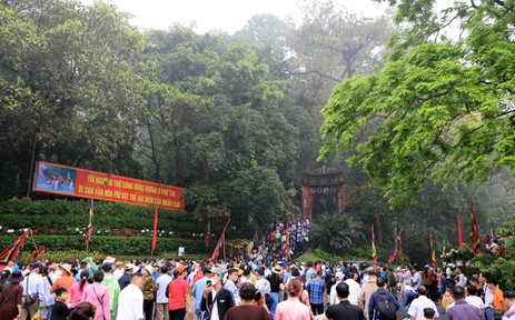 Ngẫm ngợi cuối tuần: Trở về đất tổ