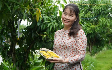 Du lịch nông nghiệp mở hướng tăng giá trị cho ngành hàng xoài