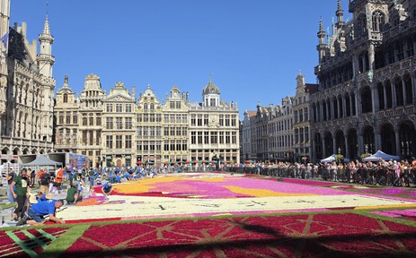 Chiêm ngưỡng thảm hoa Brussels - Di sản Thế giới UNESCO