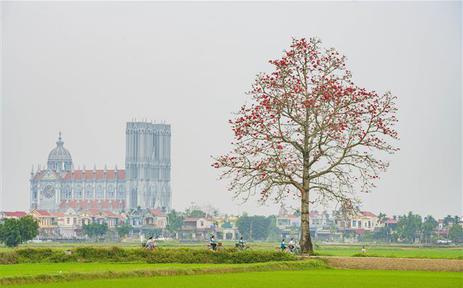 Ninh Bình lọt đề cử Điểm đến mới nổi hàng đầu châu Á 2026