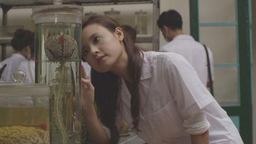 Phim Việt cuối năm: Hài nhảm chiếm ưu thế