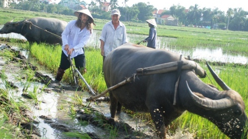 Tây thích thú làm nông dân Việt