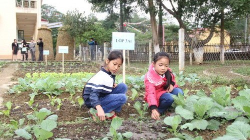 Khi các giáo viên tiểu học tự tin viết sách giáo khoa