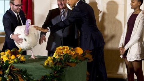 Lễ Tạ ơn đời mới