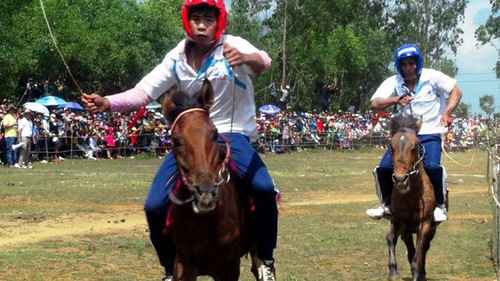 Đầu Xuân xem đua ngựa Gò Thì Thùng