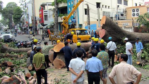 Chuyện vỉa hè: Sống nơm nớp