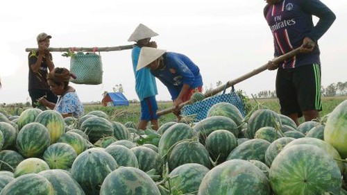 'Ăn' hàng Việt và... 'yêu' hàng Việt