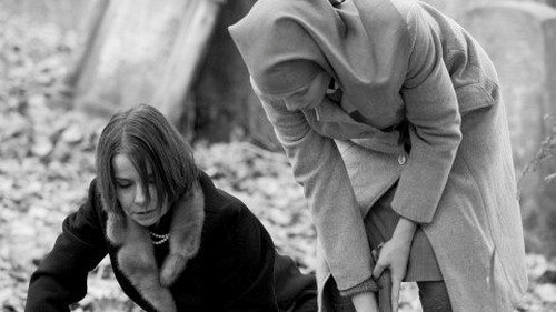 Khán giả dửng dưng với LHP châu Âu?