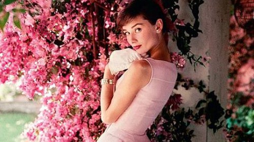 Triển lãm ảnh Audrey Hepburn: Góc khuất của huyền thoại Hollywood