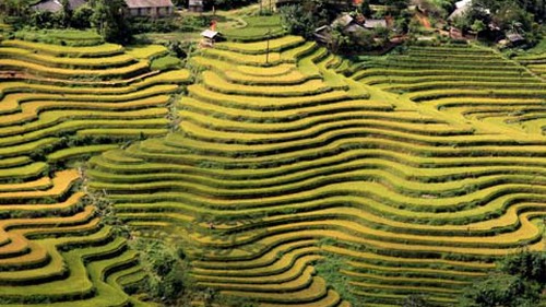 Đến Hà Giang ngắm ruộng bậc thang và dự lễ hội cúng thần rừng