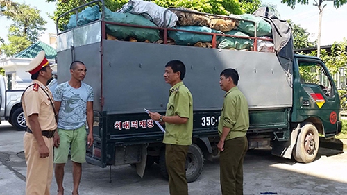 CSGT bắt xe chở 6 tấn thịt thối vào TP HCM tiêu thụ