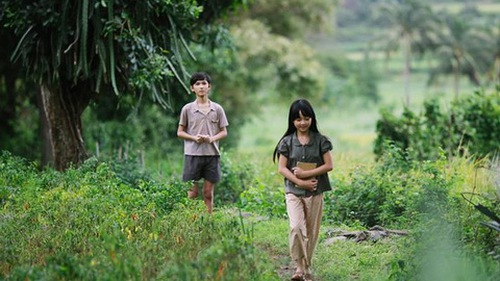 Khán giả quá đông, Tuần phim tăng suất chiếu 'Hoa vàng cỏ xanh' và một số phim