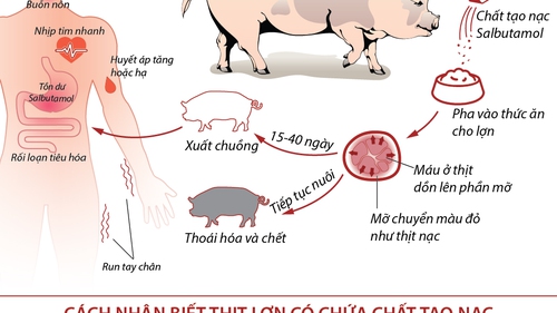 Từ ngày 1/1/2016: Mang thai hộ và nhận con nuôi cũng được hưởng chế độ thai sản