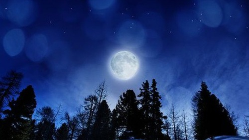 Thư châu Âu: Sau món quà, là những trái tim