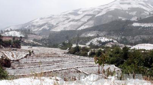 Miền Bắc rét kỷ lục, phụ huynh chủ động theo dõi thời tiết để cho con nghỉ học