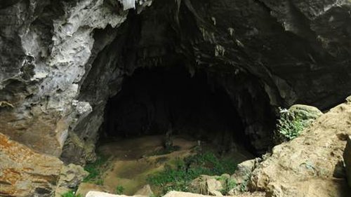 VIDEO: Xem trước các cảnh có thể lên bom tấn 'Kong: Skull Island'