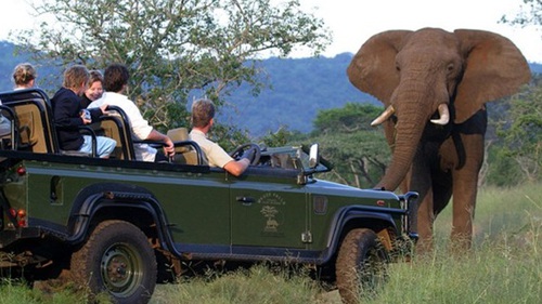 Tour Johannesburg - Cape Town: Nam Phi có gì lạ?