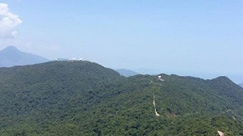 Chưa có chủ trương xây cáp treo trên Sơn Trà