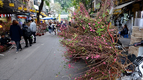 Hà Nội: Chợ hoa Hàng Lược 'vắng như chùa Bà Đanh' ngày cận Tết