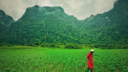 Đoàn làm phim 'Kong: Skull Island' tiết lộ lý do chọn Việt Nam làm bối cảnh