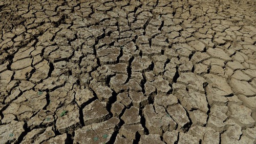 Mỹ cân nhắc khả năng tiếp tục tham gia Hiệp định Paris về biến đổi khí hậu