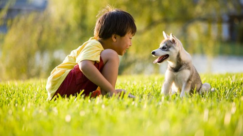 Nếu tìm kiếm niềm vui nhưng không thấy, chuyên gia thần kinh học khuyên bạn hãy áp dụng 10 cách để tự sản sinh hormone hạnh phúc