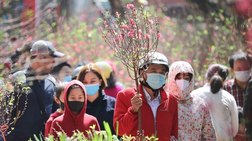 Thời tiết Hà Nội tiếp tục rét đậm, trưa chiều hửng nắng