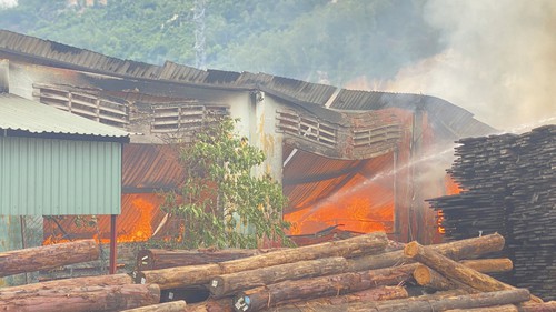 Bắt giữ nghi phạm phóng hỏa khiến hai người thương vong