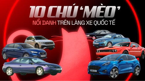 10 chú 'mèo' nổi danh trên làng xe quốc tế