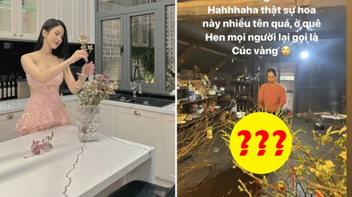 Sao Việt thi nhau khoe thú chơi hoa ngày Tết: H'Hen Niê gây ấn tượng với loại hoa cúc "lạ"