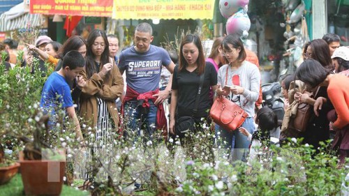 Những thú chơi tao nhã ngày Xuân của người Việt