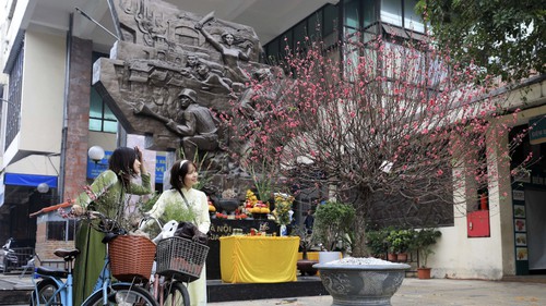 Một Hà Nội bình dị sớm đầu năm Quý Mão