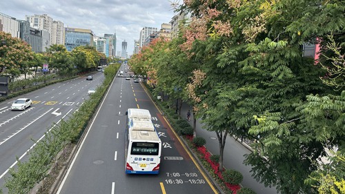 Thư Hàng Châu: Có một Hàng Châu rất xanh