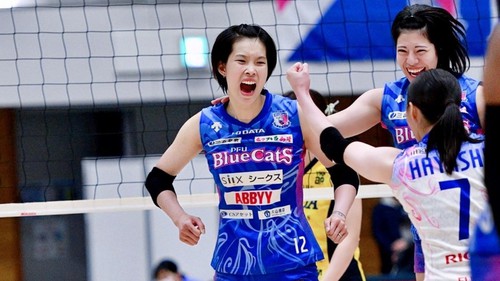 Link xem trực tiếp PFU BlueCats vs Hisamitsu Springs (10h00 hôm nay), giải bóng chuyền VĐQG nữ Nhật Bản vòng 1