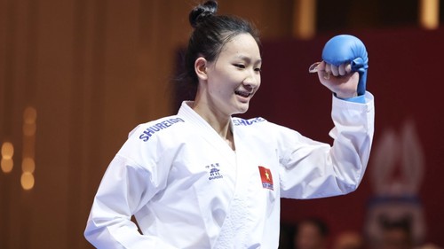 Các môn võ của đoàn Thể thao Việt Nam: Gian nan tìm vàng