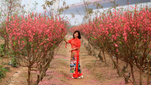 Hà Nội: Khu du lịch Nhật Tân được công nhận cấp thành phố