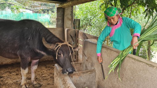 Công điện của Thủ tướng Chính phủ về phòng, chống rét đậm, rét hại kéo dài