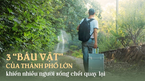 Tại sao nhiều người cầm tiền tỷ về quê chưa bao lâu đã hối hận: Thành phố lớn có 3 'báu vật', không dễ gì nhiều người bỏ qua