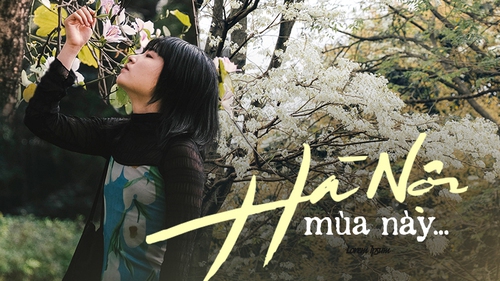 Hà Nội mùa này, mùa hoa ngập lối, không ra đường là có lỗi với bản thân!