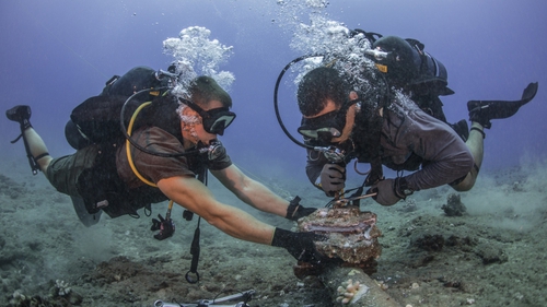 
Cập nhật thời gian sửa chữa các tuyến cáp biển internet