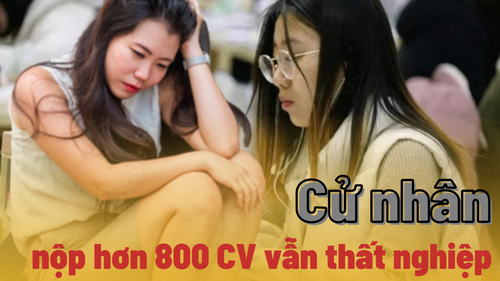 Cử nhân lên mạng 'than thở' vì nộp 800 đơn xin việc, 30 lần phỏng vấn vẫn thất nghiệp: Do thị trường quá khắc nghiệt hay bản thân chưa đủ xuất sắc?