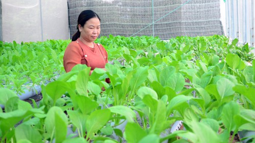 Thành lập Hội đồng thẩm định Quy hoạch hệ thống đô thị và nông thôn thời kỳ 2021-2030, tầm nhìn 2050