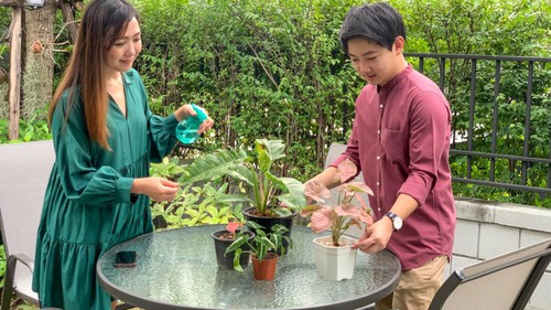 Nên chọn mua nhà ngoại ô hay nhà trong trung tâm thành phố?