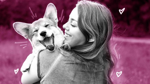 Ăn bữa cơm 40k phải đắn đo nhưng tiêu 70 triệu cho chó mèo là chuyện thường