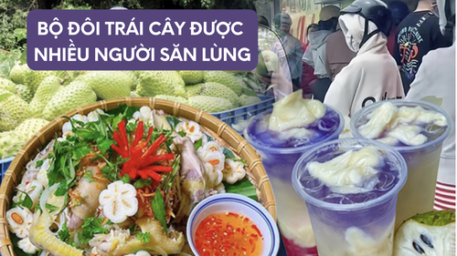 Cơn sốt trà mãng cầu và gỏi măng cụt đang càn quét khắp mọi nơi, đến nỗi đi chợ không còn trái chín mà mua 