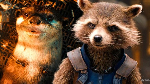 Lý giải thân phận người bạn thơ ấu của Rocket, từng lấy cạn nước mắt của khán giả trong Guardians of the Galaxy 3