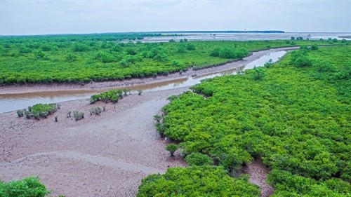 Học sinh Hà Nội tử vong khi tham gia trải nghiệm bắt ngao tại Nam Định