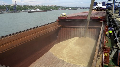 Mỹ sẵn sàng cho khả năng Nga không gia hạn thoả thuận ngũ cốc Biển Đen