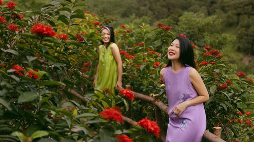 Vườn mẫu đơn đỏ rực lưng chừng đồi ở Hà Nội - điểm check in mới của hội chị em mê 'sống ảo'
