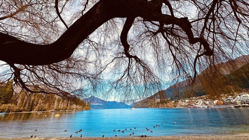 Có một cuộc sống ngọt ngào ở Queenstown